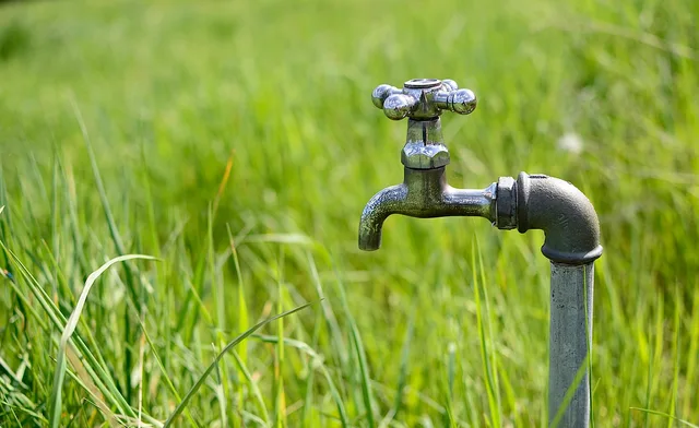 tap, water, meadow, drought, nature, the greenhouse effect, closeup, irrigation, plumber, fittings. Six-phase planning for a plumbing contractor business