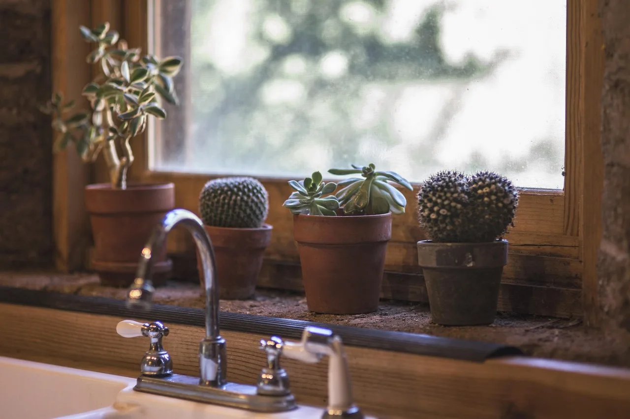 cactus, kitchen, design, interior, table, modern, sink, window, outside, inside, ledge, home, style, house, apartment, wooden, wood, estate, faucet, clean, dining, counter, indoor, lifestyle, brown home, brown house, brown kitchen, brown wood, brown window, brown table, brown design, brown interior, brown clean, cactus, kitchen, kitchen, kitchen, kitchen, kitchen, window, house, apartment. Plumbing demand drivers for contractors and how to verify each one locally